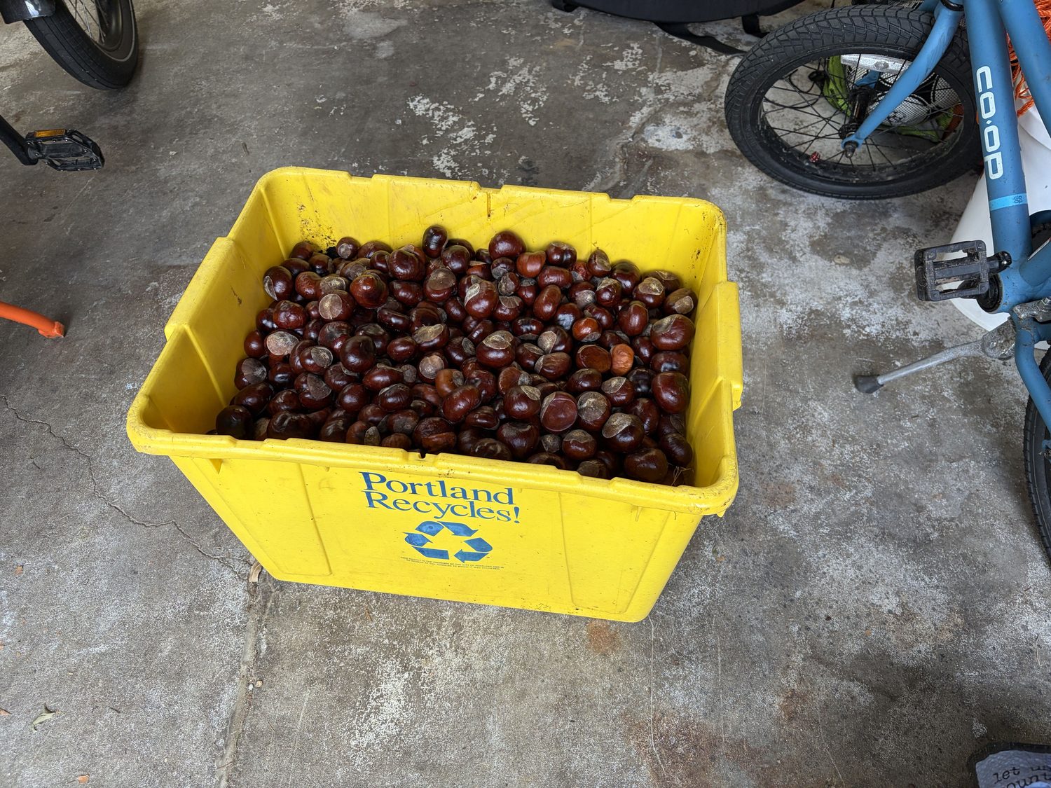 Chestnut Bin