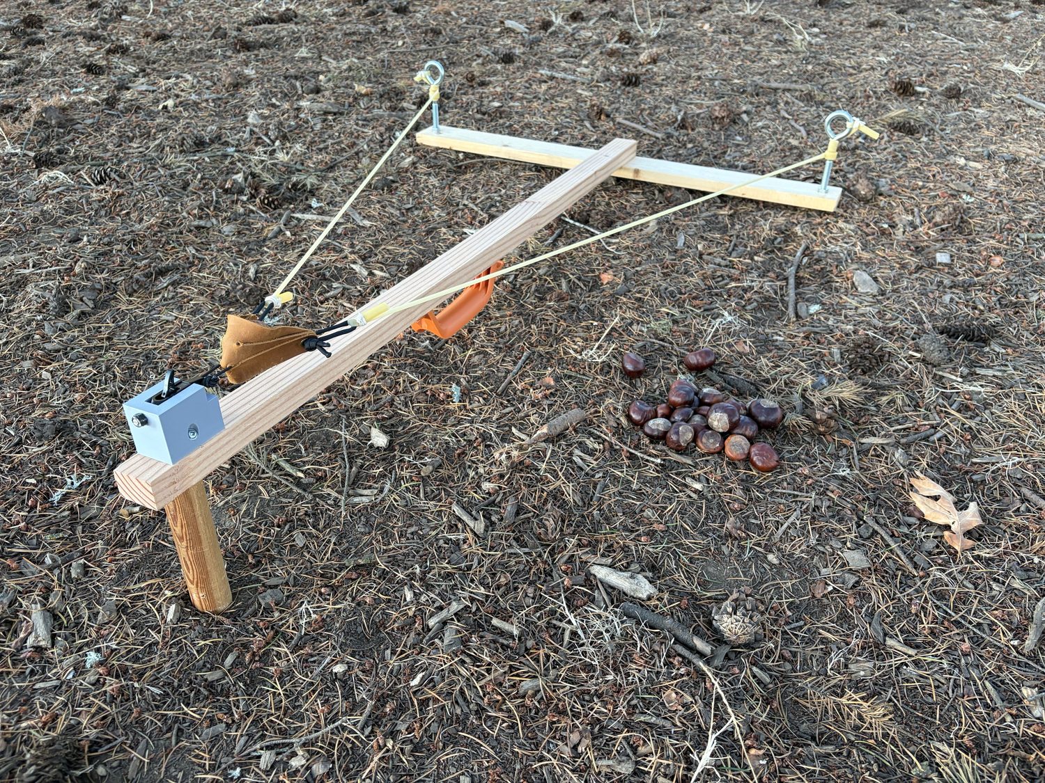 Chestnut Launcher