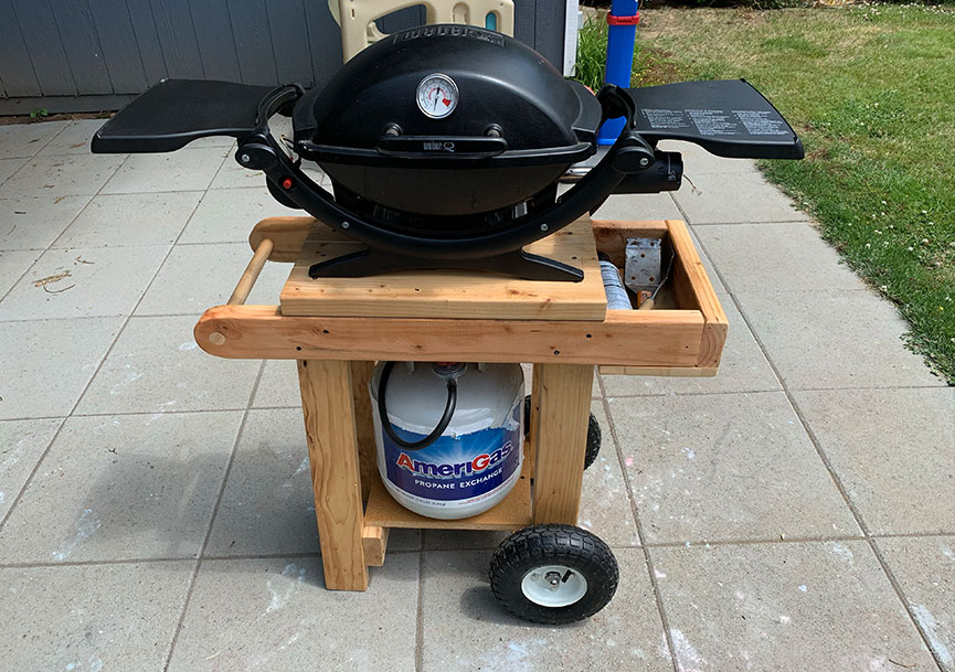 Weber q hotsell conversion kit